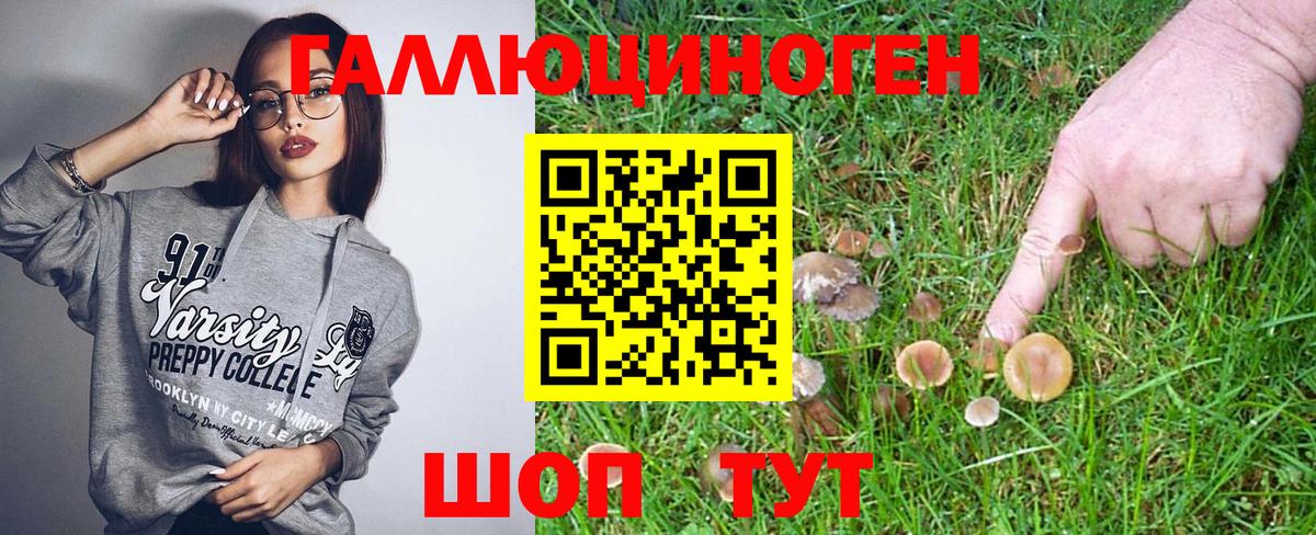 Новочеркасск  Псилоцибиновые грибы мухоморы  Псилоцибиновые грибы мицелий  Вход с VPN 